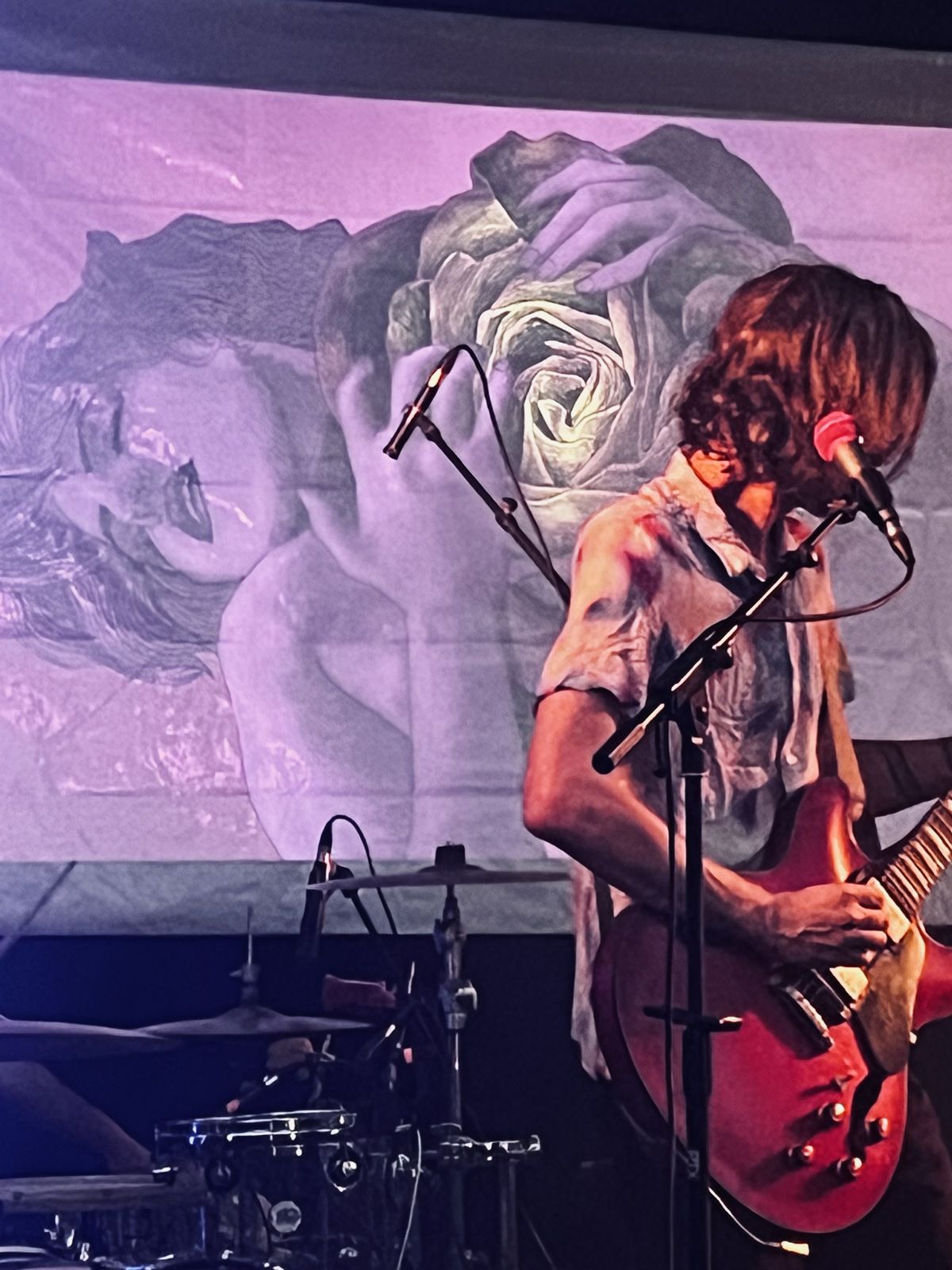 Concert de CCQUEEN : le guitariste chante devant une illustration de Grégory Dayon projetée en grand sur la scène