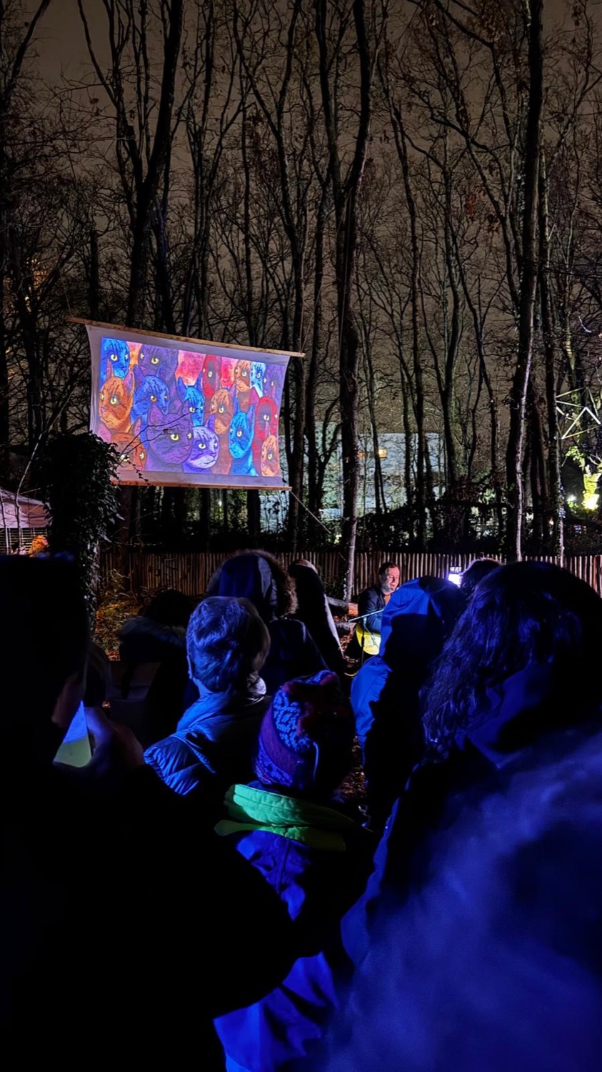Représentation nocturne en forêt : les chats illustrés projetés sur un écran suspendu devant le public